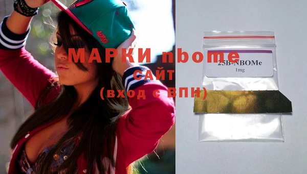 хмурый Пересвет