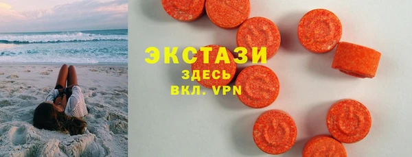 хмурый Пересвет