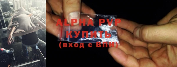 стафф Осинники