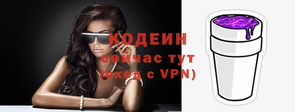 стафф Осинники