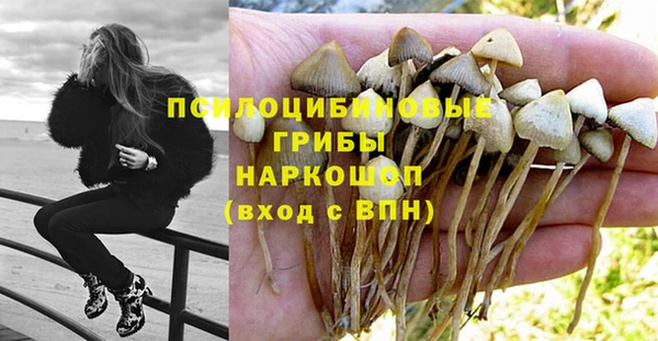 PSILOCYBIN Волоколамск