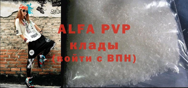 стафф Осинники