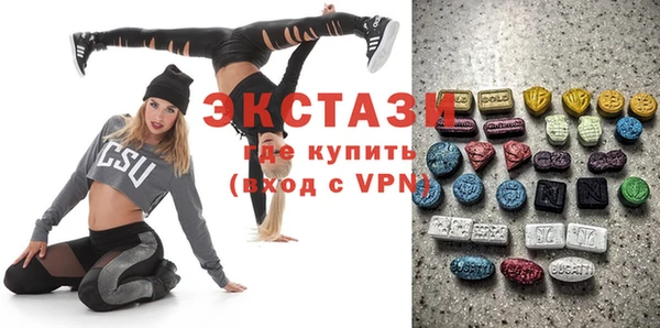 хмурый Пересвет