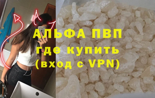 стафф Осинники