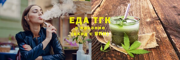 хмурый Пересвет