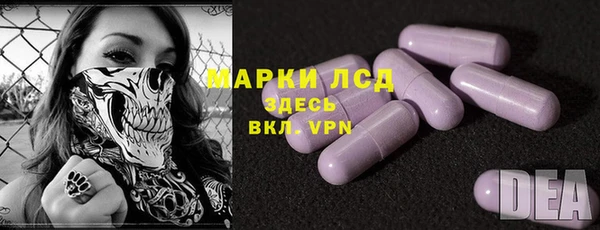 стафф Осинники