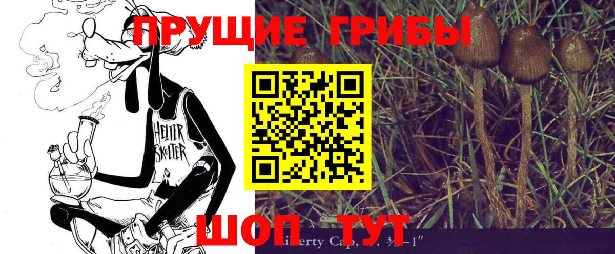 цена   Псилоцибиновые грибы Psilocybine cubensis  Вход с VPN  Краснотурьинск 